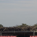 13_00-mast.jpg