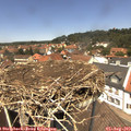 13_00-nest.jpg