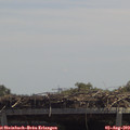 13_05-mast.jpg