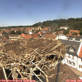 13_05-nest.jpg