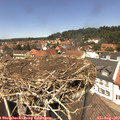 13_10-nest.jpg