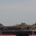 13_15-mast.jpg