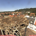 13_15-nest.jpg