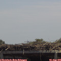 13_20-mast.jpg