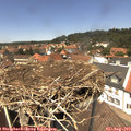 13_20-nest.jpg