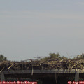 13_30-mast.jpg