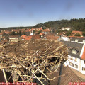 13_35-nest.jpg