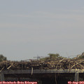 13_45-mast.jpg