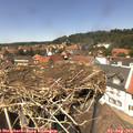 13_45-nest.jpg