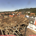 14_05-nest.jpg