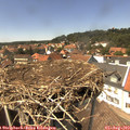 14_15-nest.jpg