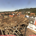 14_20-nest.jpg