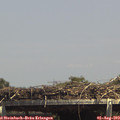14_35-mast.jpg