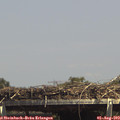 14_40-mast.jpg