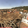 14_40-nest.jpg