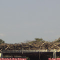 14_45-mast.jpg