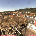 14_45-nest.jpg