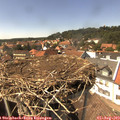 14_55-nest.jpg