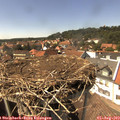 15_00-nest.jpg
