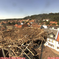 15_05-nest.jpg
