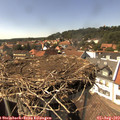 15_20-nest.jpg