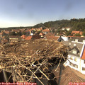 15_30-nest.jpg