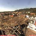 15_40-nest.jpg
