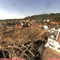15_55-nest.jpg