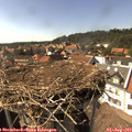 16_00-nest.jpg