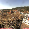 16_05-nest.jpg