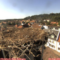 16_30-nest.jpg