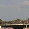 16_40-mast.jpg