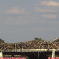 16_50-mast.jpg