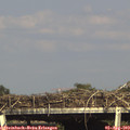 16_55-mast.jpg