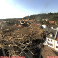17_15-nest.jpg