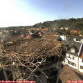 17_25-nest.jpg