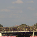 17_30-mast.jpg