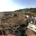 17_35-nest.jpg