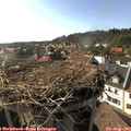 17_40-nest.jpg