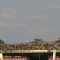 17_45-mast.jpg