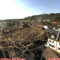 17_45-nest.jpg