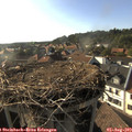 18_05-nest.jpg