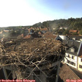 18_10-nest.jpg