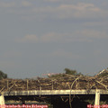 18_15-mast.jpg