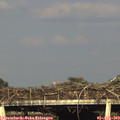 18_20-mast.jpg