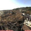 18_20-nest.jpg