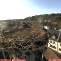 18_25-nest.jpg
