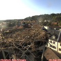 18_30-nest.jpg