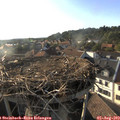 18_40-nest.jpg