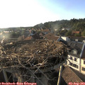 18_50-nest.jpg